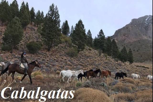 CABALGATAS